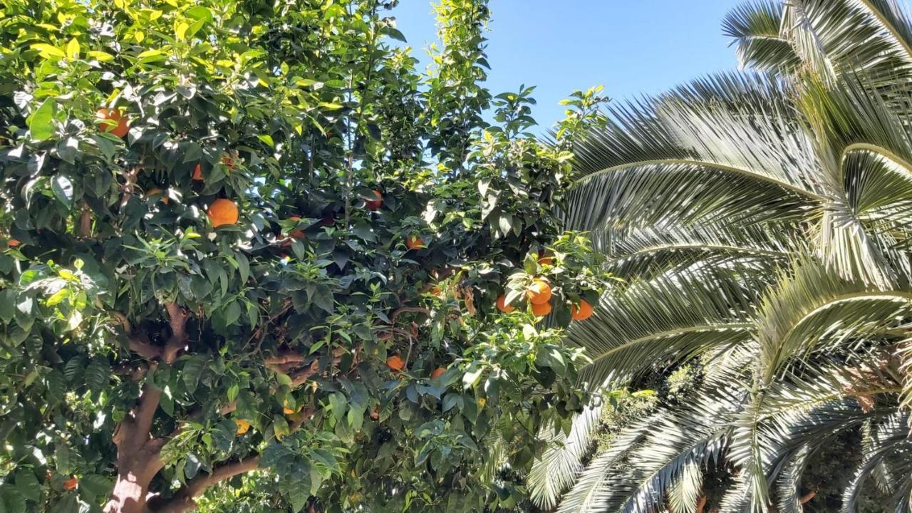 Appartamento Del Parque Flats Urban Málaga Esterno foto